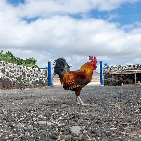 Vista Paraiso, Sea Breeze Facing The Sea Ла-Олива